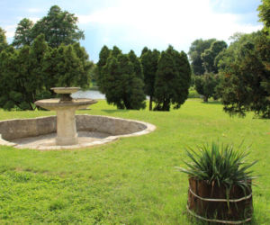 To najbardziej niedoceniona wieś w województwie śląskim. Jest tam szlak cudownych źródeł