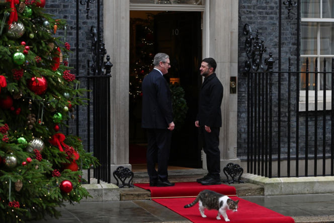 Oto Larry. Chief Mouser to the Gabinet Office