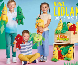 Nowe Lidlaki z Ryneczku