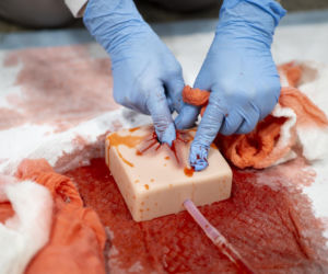 Aptekarze ćwiczą na wypadek wojny. Pierwsze takie szkolenie w Warszawie