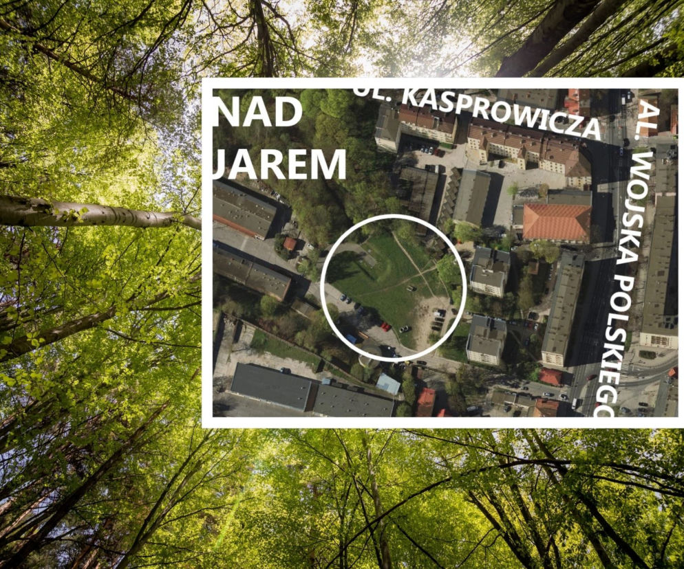 Podwórka z Natury
