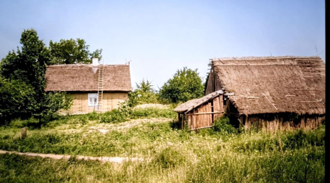 Dębowy Zakątek - zdjęcie archiwalne (tył domu)
