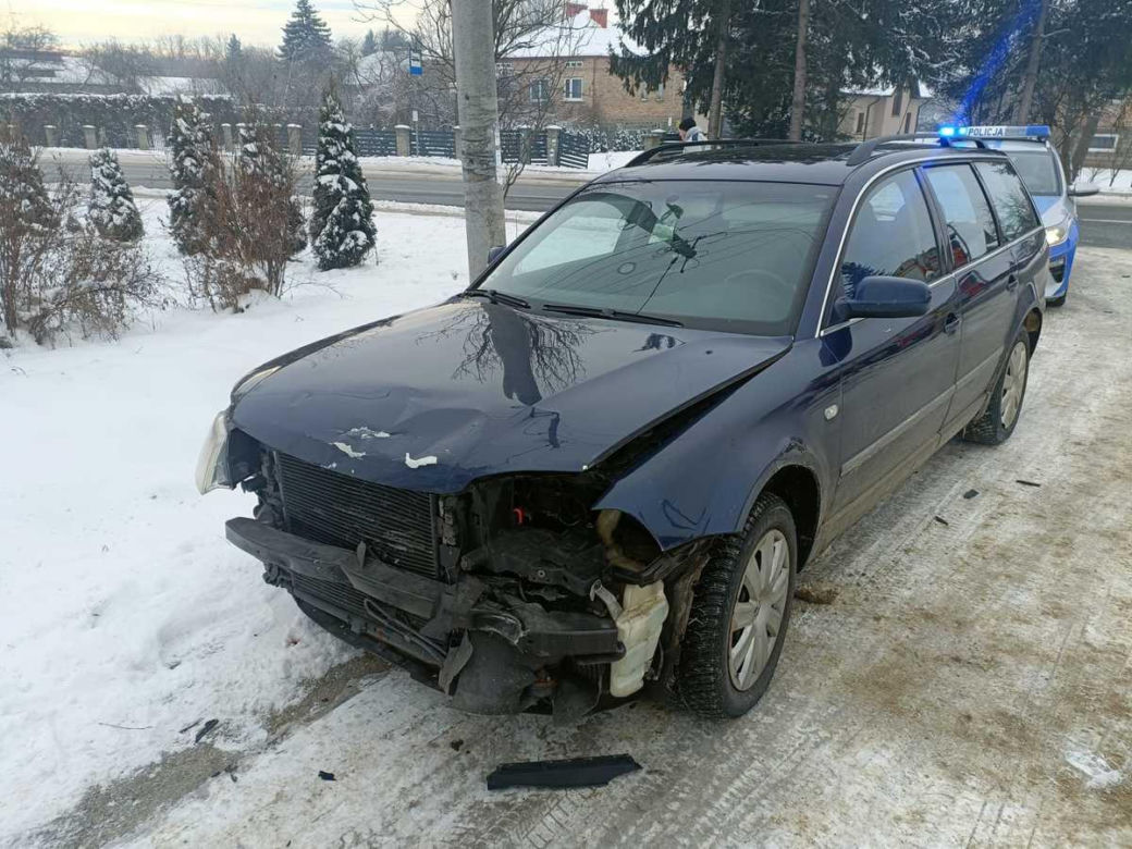 Samochód przebił ogrodzenie i staranował tuję. Pijany sprawca odpowie przed sądem