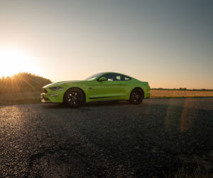 Ford Mustang GT 5.0 V8 55 Edition
