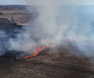 Mazowsze płonie, zaczęło się wypalanie traw