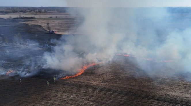 Mazowsze płonie, zaczęło się wypalanie traw