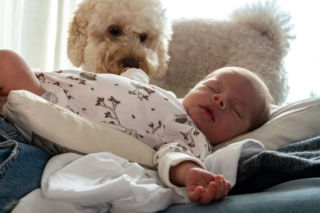 Pies warczy na noworodka a kot sika po kątach? To nie zazdrość, a sygnał ogromnego stresu