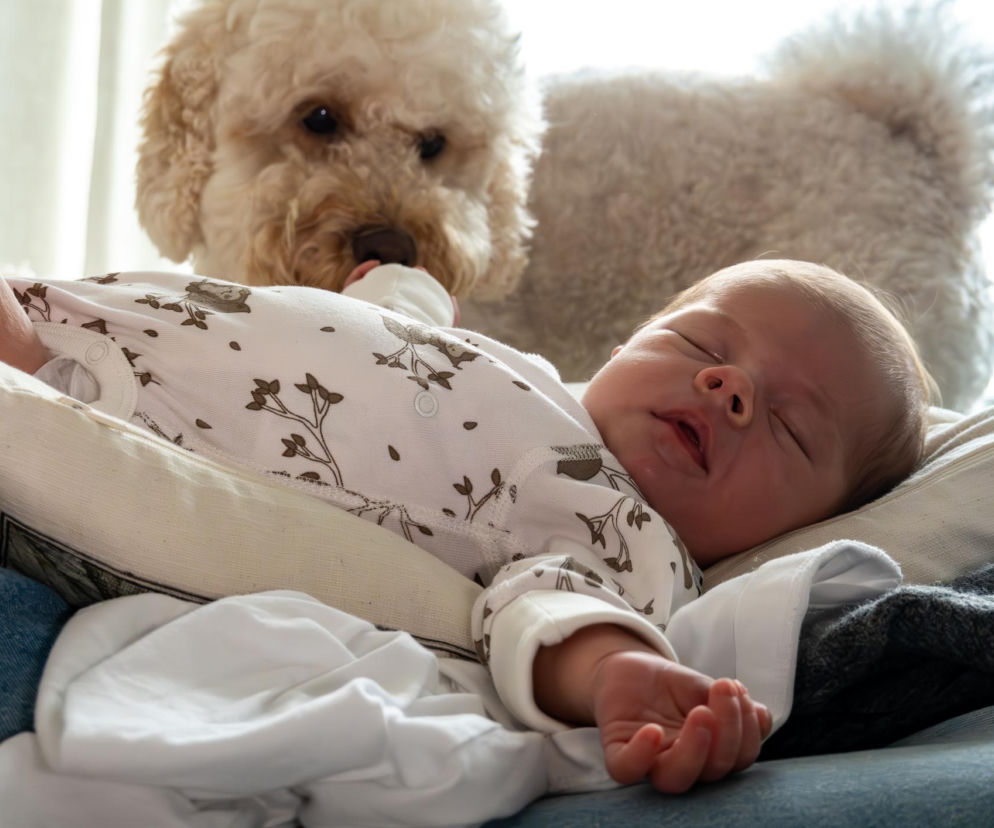 Pies warczy na noworodka a kot sika po kątach? To nie zazdrość, a sygnał ogromnego stresu