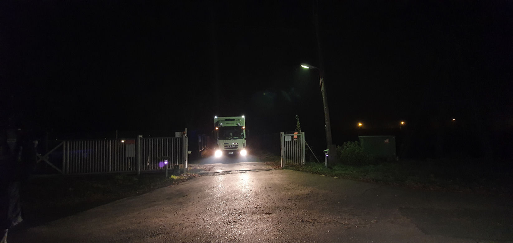 Wycieńczone tygrysy trafiły do ZOO w Poznaniu