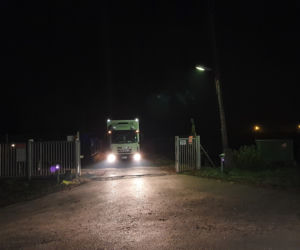 Wycieńczone tygrysy trafiły do ZOO w Poznaniu