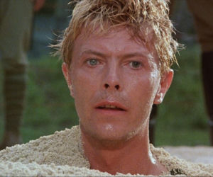 David Bowie