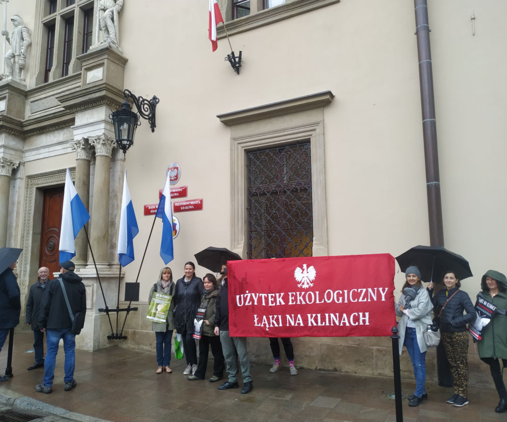 Ila Kraków zapłaci za użytek ekologiczny na Klinach? Radny wyliczył, że 30 milionów złotych