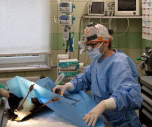 Operacja małego bociana Radzia