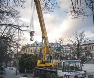 Choinka już stoi na rynku w Gorlicach! WSPANIAŁY świerk mierzy ponad 10 metrów