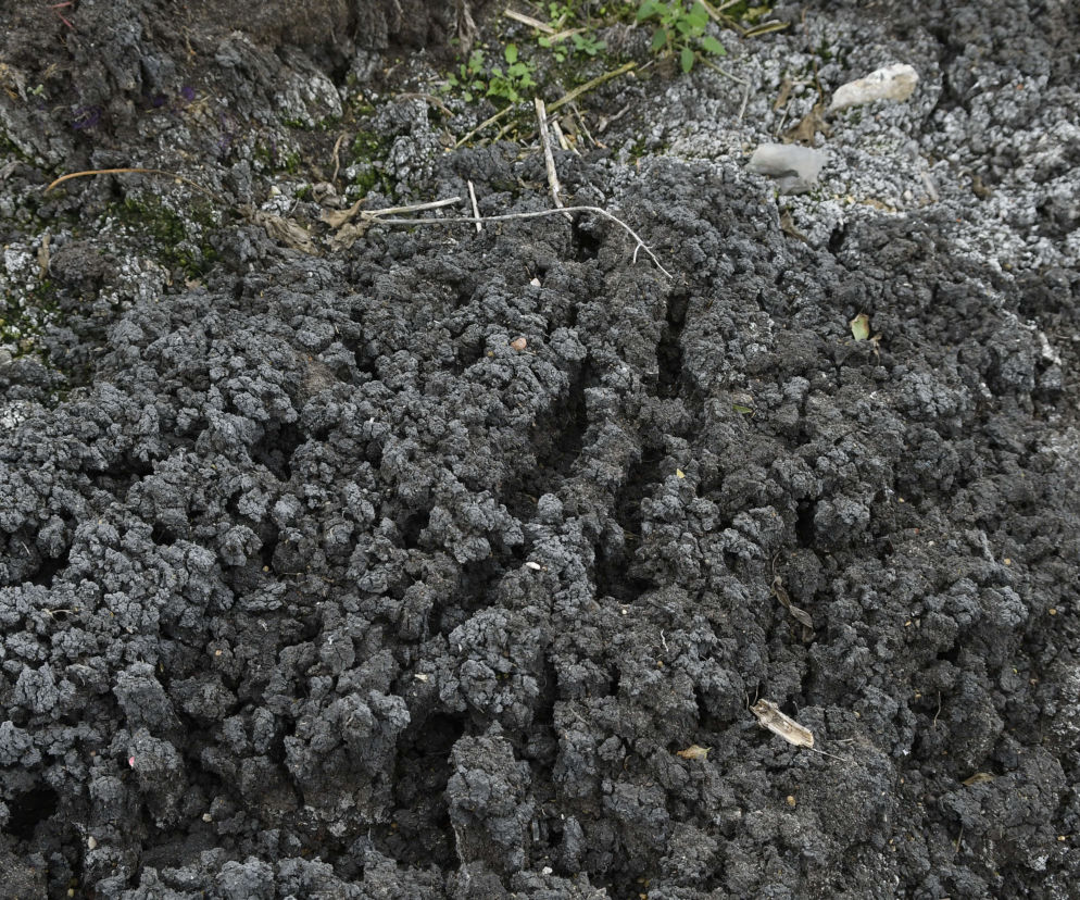 Ścieki z Czajki zwożą nam pod dom