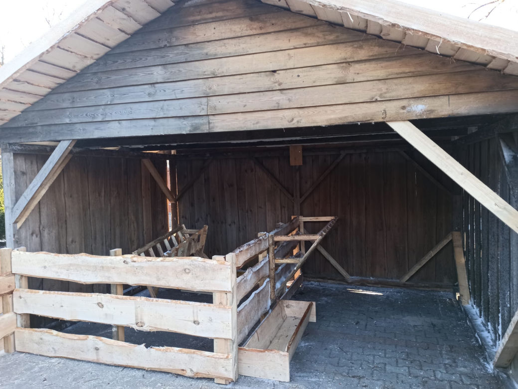 Dywity. Trwa budowa bożonarodzeniowej szopki. Zamieszkają w niej urocze owieczki [ZDJĘCIA]
