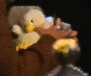 Katarzyna Zielińska pije z kaczorem