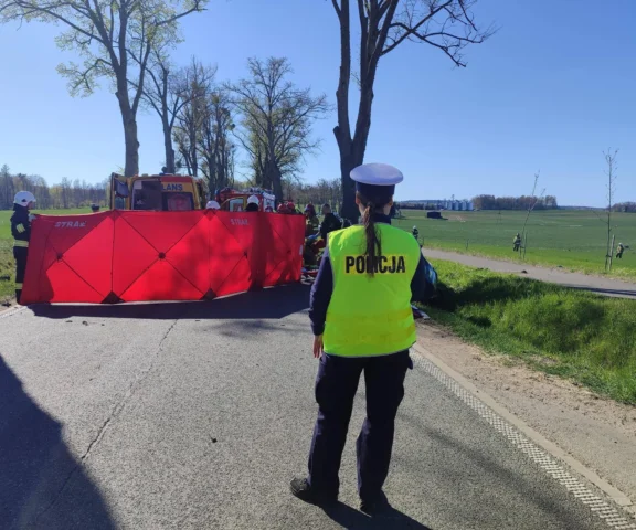BMW roztrzaskało się na drzewie. 16-latek nie żyje