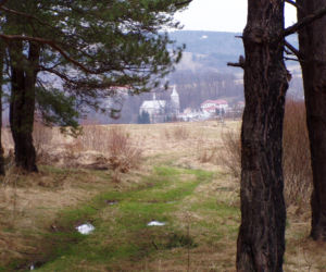 To najmłodsze miasto w woj. podkarpackim