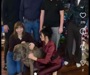 Jacek Rozenek - święta z żoną i synami