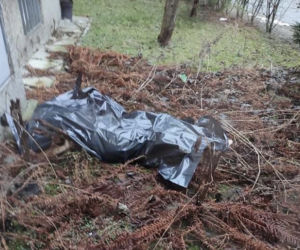 Dramat na Bielanach. Kobieta wypadła z 6 piętra