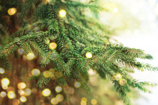 Świąteczne zakupy na kredyt? Uważaj, żeby nie wpaść w spiralę zadłużenia