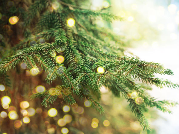 PIP sprawdzi, czy faktycznie Wigilia była wolna od pracy