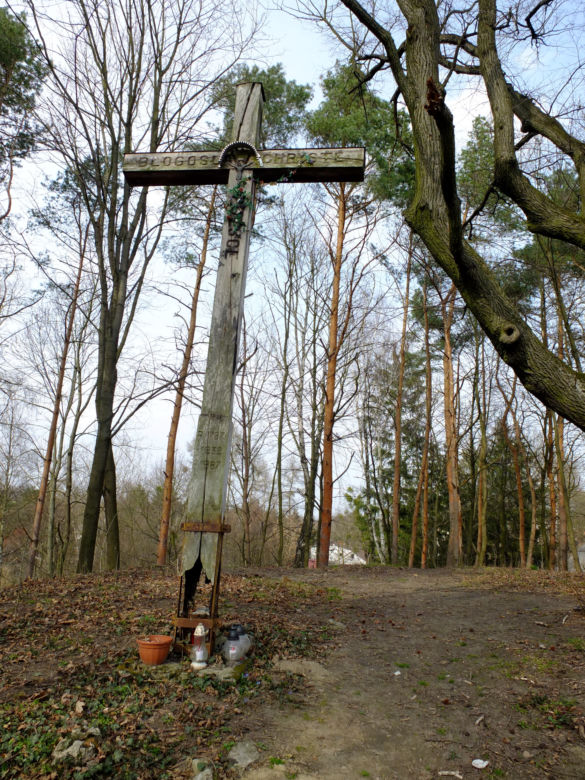 Na dachu Nałęczowa niedługo będzie przepięknie. Wzgórze Poniatówka szykuje się do rewitalizacji.