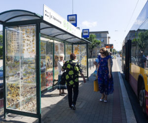 Widzieliście już przystanek cały w kwiatach?