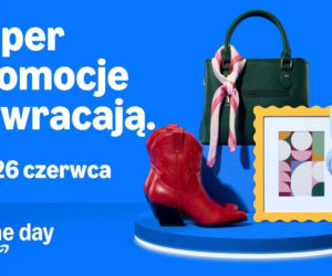 Polak na zakupach w internecie zmienia reguły gry – kupuje z planem, a nie pod wpływem chwili