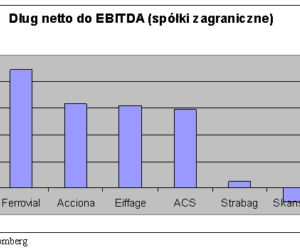 Dług netto do EBITDA (spółki zagraniczne)