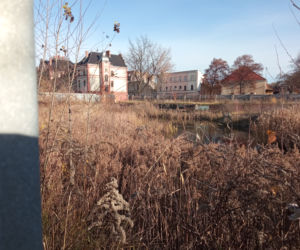 teren po Goplanie i ul. Królowej Jadwigi