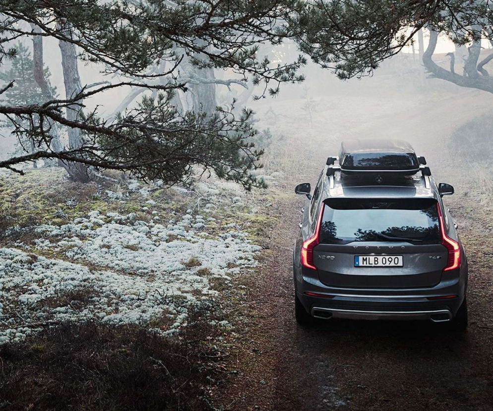Volvo XC90, zima