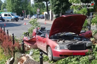 Żywiec: Drzewo runęło na samochód! Matka z córką w szpitalu. Wstrząsający widok!