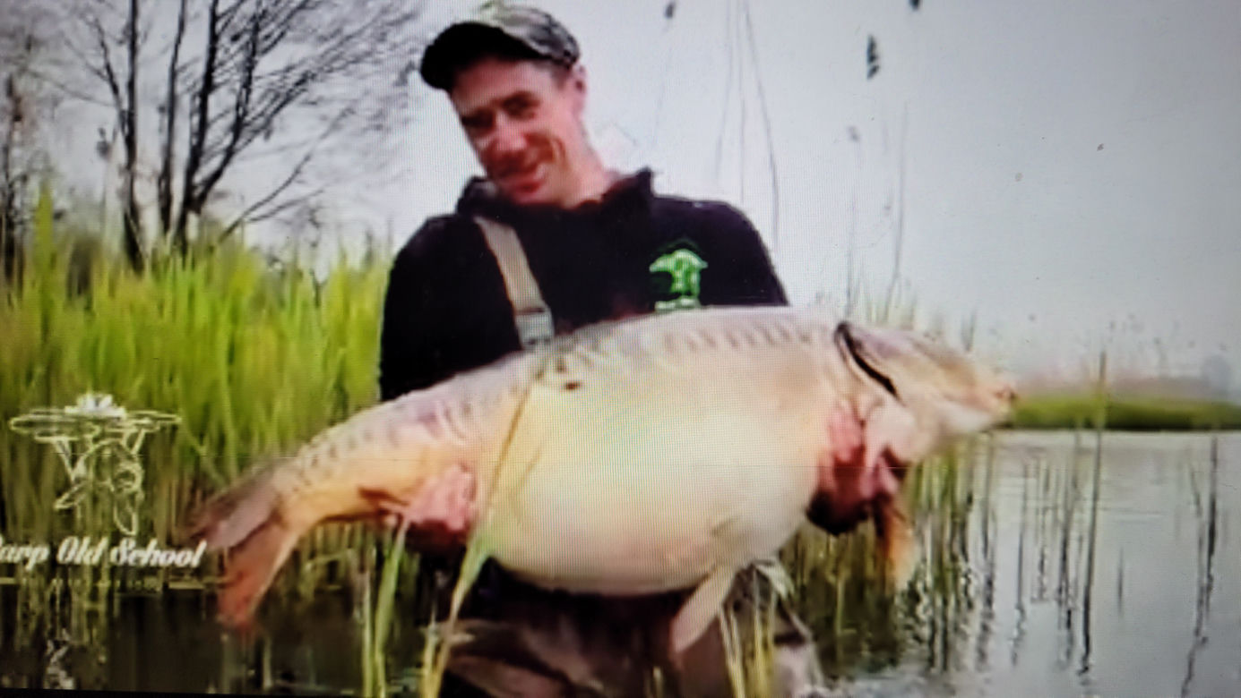 Karp GIGANT 31 kg
