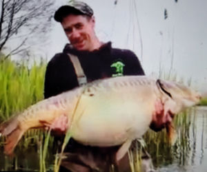 Karp GIGANT 31 kg