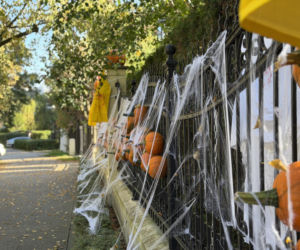 Choć do Halloween pozostało jeszcze trochę czasu, upiorna willa w Gdańsku już straszy!