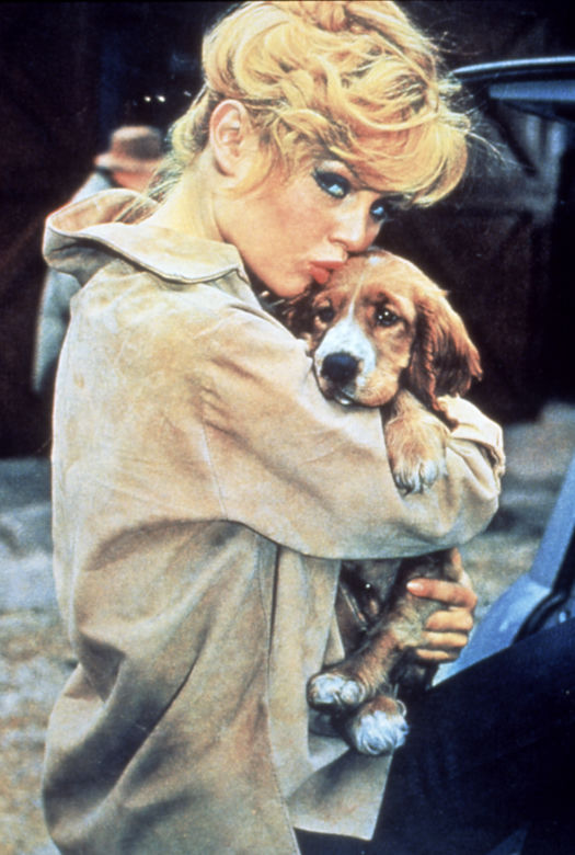 Joanna Opozda zagrała Brigitte Bardot 