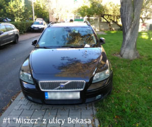 Miszczowie parkowania z Gliwic. Straż miejska pokazuje zdjęcia i mówi jak nie parkować [GALERIA]