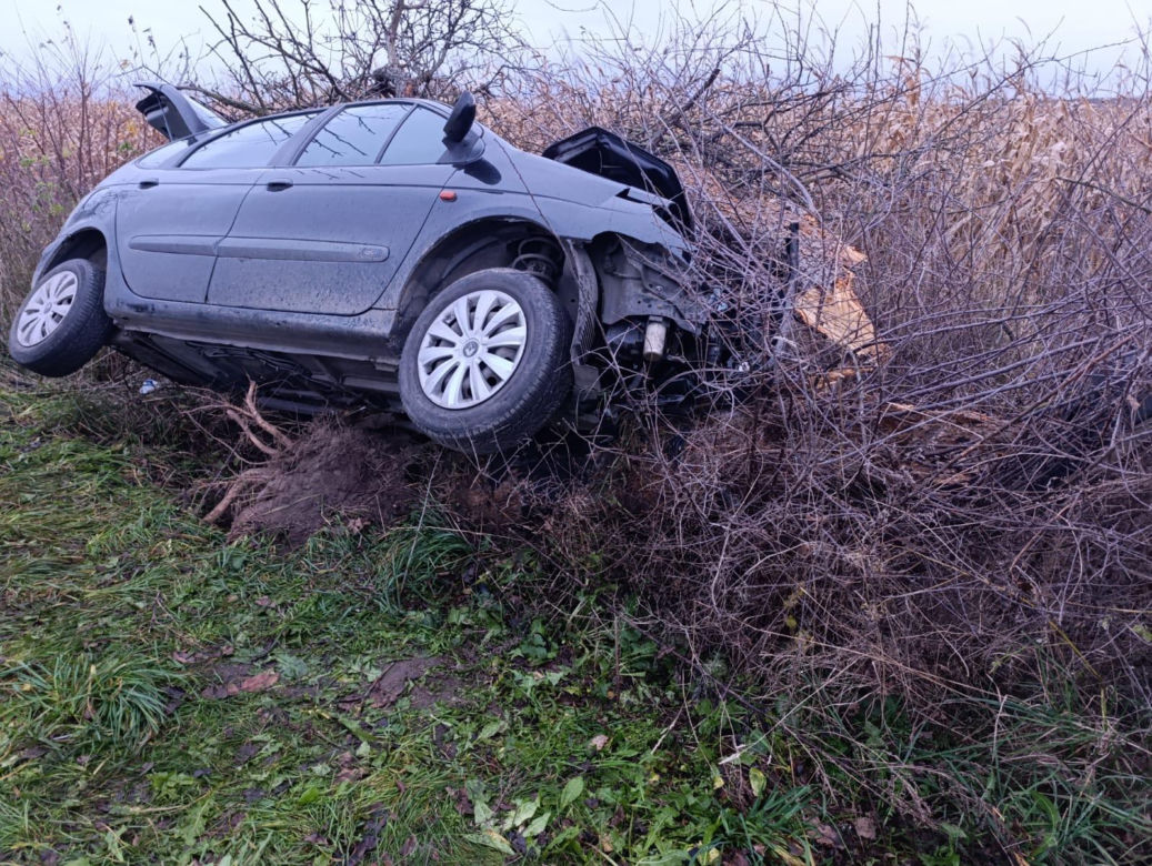 Tragiczny wypadek w pow. gostyńskim. Nie żyje mężczyzna