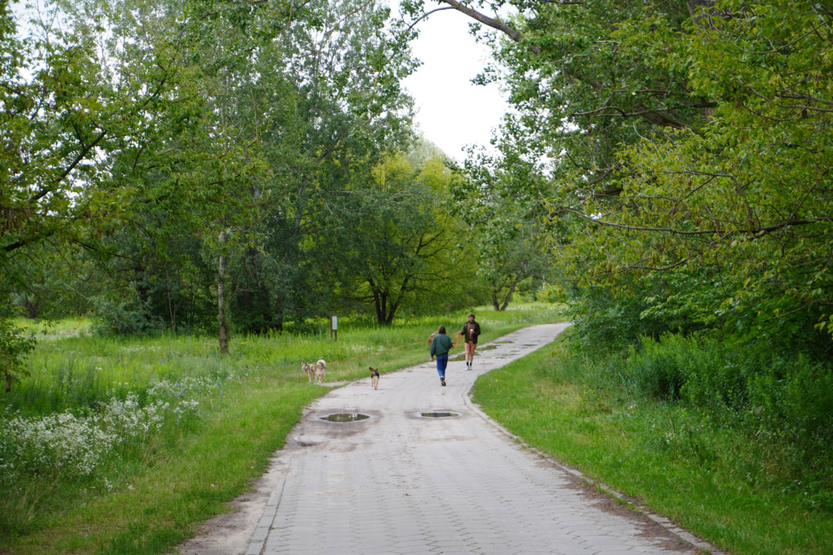 Teren Rekreacyjnych Ogródków Działkowych na Międzywalu Wisły