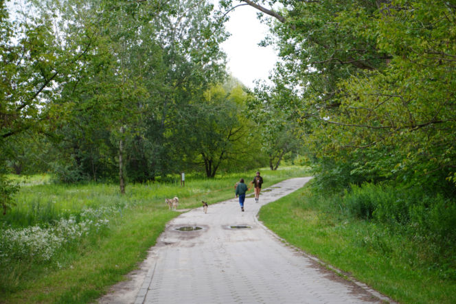 Teren Rekreacyjnych Ogródków Działkowych na Międzywalu Wisły
