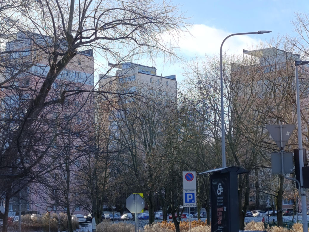 Gdynia. Ceny mieszkań w dzielnicach