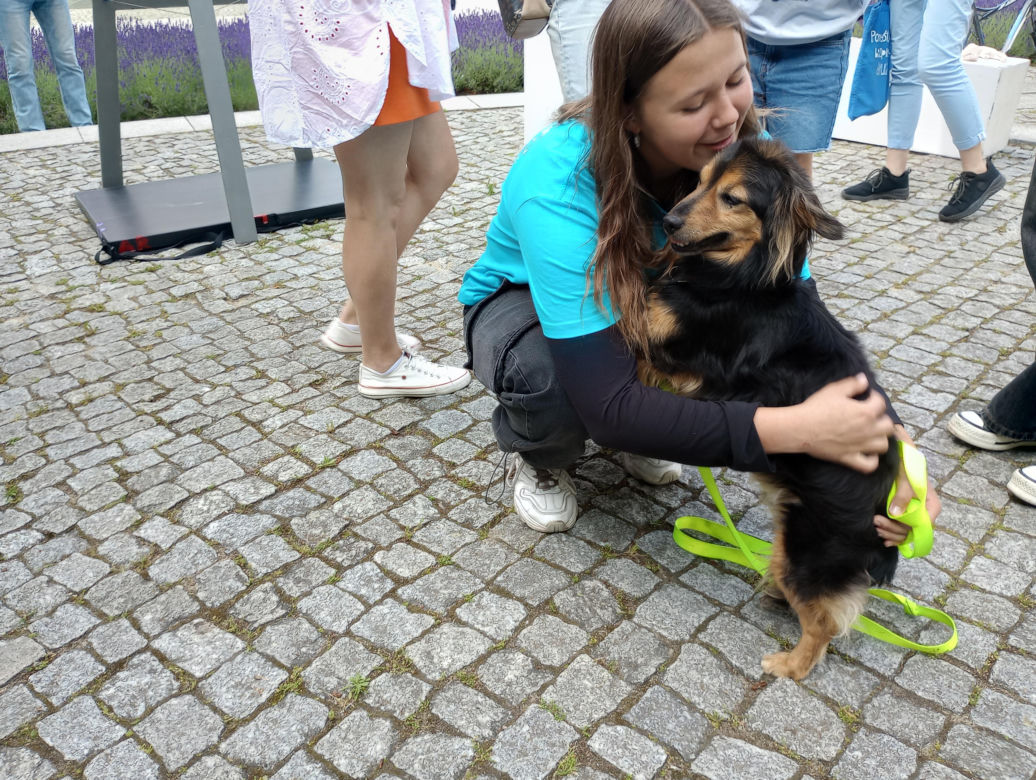 Sztuka dla zwierząt7