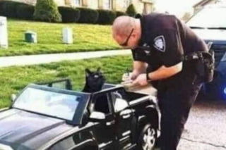 Święto Policji wypada 24 lipca. Mundurowi odbiorą życzenia, a internet już szykuje swoje memy