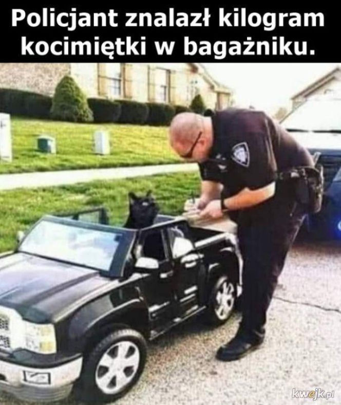 Święto Policji wypada 24 lipca. Mundurowi odbiorą życzenia, a internet już szykuje swoje memy