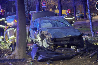 Wjechał na trawnik i uderzył w drzewo. Szokujący powód
