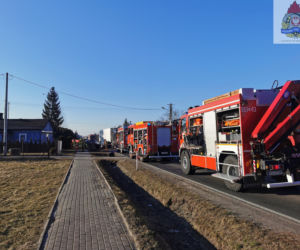 Łódzkie. Kobieta i 2-letnie dziecko nie żyją, 7-latek ranny po wypadku niedaleko Skierniewic
