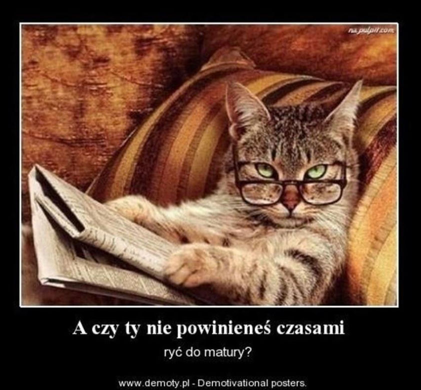 Matura - memy