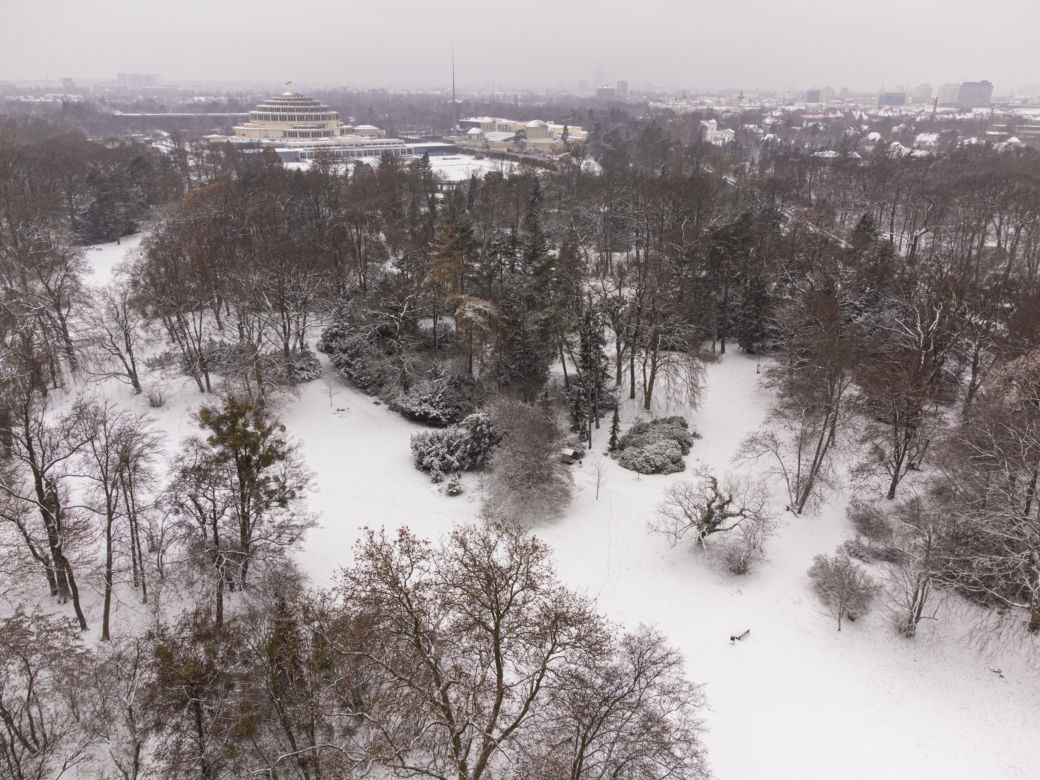 Pierwszy, większy śnieg w mieście. Zaczęła padać 11 grudnia  